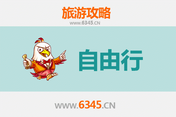 聊城冠县自由行攻略：探索鲁西古韵与生态风情