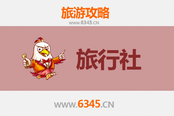 聊城冠县旅行社精选推荐：深度探索鲁西风情